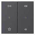 GIRA 538428 Wippe 2fach Audiosteuerung System 55 Anthrazit