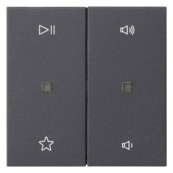 GIRA 538428 Wippe 2fach Audiosteuerung System 55 Anthrazit