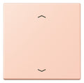 Jung LC101P234 Wippe m.Pfeilsymbolen f.KNX Taster 1