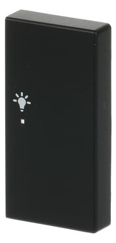 BJ 6231-22-885 Wippe/R 2f Licht schwarz matt Busch-free@home future linear