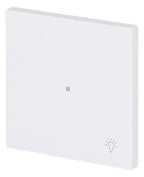 BJ 6231-10-44G Wippe 1-fach m.Symbol "Licht"