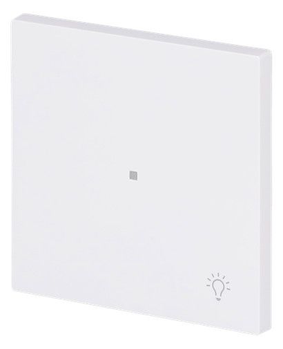 BJ 6231-10-44G Wippe 1-fach m.Symbol "Licht"
