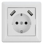 DELOCK Schuko+2xUSB 2,8A 55x55 11473