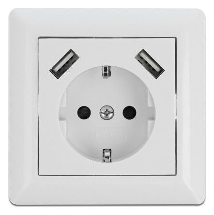 DELOCK Schuko+2xUSB 2,8A 55x55 11473