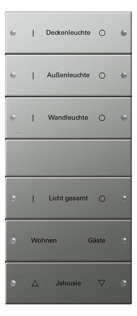 GIRA 2136602 Wippenset 6fach (3+3) beschreibbar System 55 Edelstahl