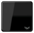 Jung CD590LSW Wippe Symbol Licht schwarz