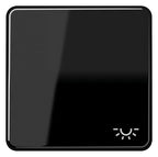 Jung CD590LSW Wippe Symbol Licht schwarz