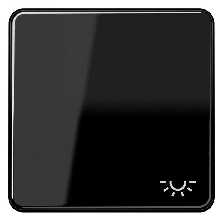 Jung CD590LSW Wippe Symbol Licht schwarz