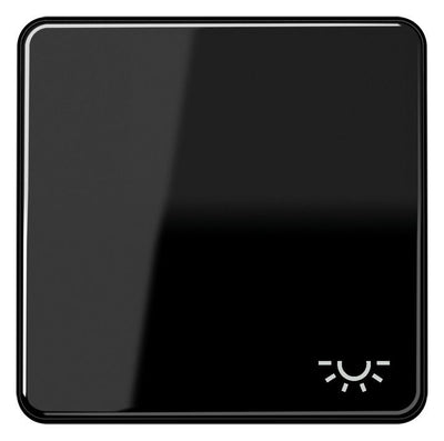 Jung CD590LSW Wippe Symbol Licht schwarz