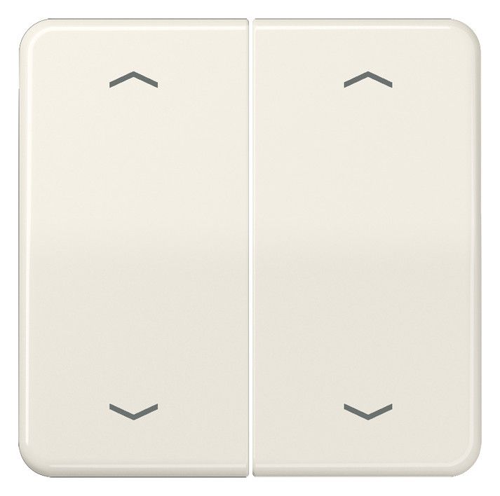 Jung CD102P Wippe f.Serientasterpfeile