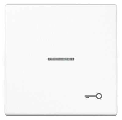 Jung LS990KO5TWW Wippe Symbol Tür m.Lichtleiter alpinweiß