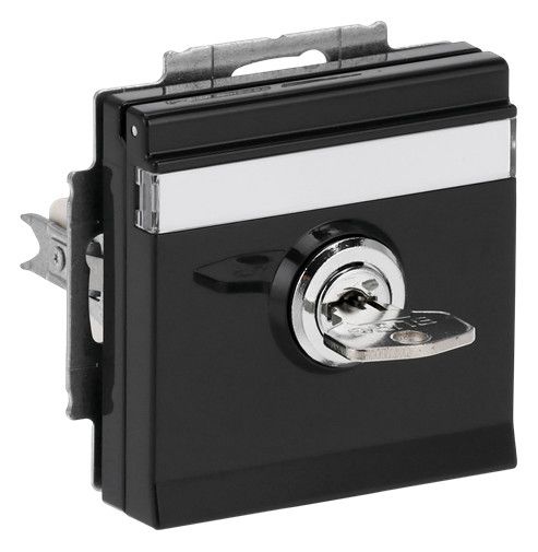 BJ 20 EUKNBSL-81 SCHUKO Steckdosen-Einsatz anth future linear