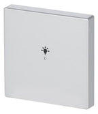 BJ 6231-10-83 Wippe 1-fach Licht Busch-free@home alusilber