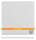 Berker 16216079 Wippe m.2beil.Linsen+ Aufdruck Symbol Licht Q.x polarweiß samt