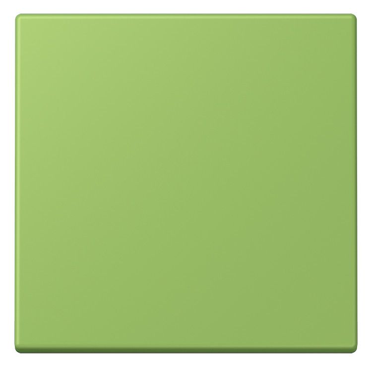 Jung LC990220 Wippe f.Schalter/Taster LC32051