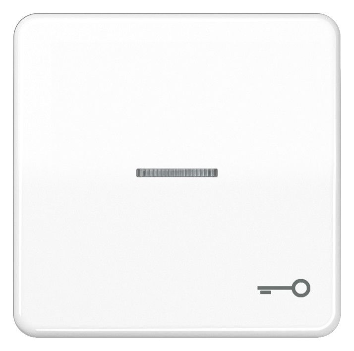 Jung CD590KO5TWW Wippe Symbol Tür m.Lichtleiter alpinweiß
