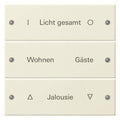 GIRA 220301 Wippenset 3fach beschreibbar System 55 Cremeweiß glänzend (lackiert)
