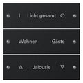 GIRA 2203005 Wippenset 3fach beschreib. System 55 Schwarz matt (lackiert)
