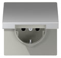 Jung AL1520NKL SCHUKO Steckd.m.Klappd.o. Kralle