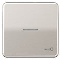 Jung CD590KO5TPT Wippe Symbol Tür m.Lichtleiter platin