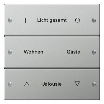GIRA 2133602 Wippenset 3fach beschreibbar System 55 Edelstahl