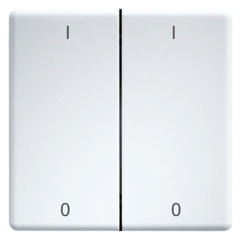 Eltako DW-FT55-wg+IO Doppelwippen 55er Design+E-Design55 reinweiß gl.30000987