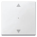 Mert 625519 Wippe f.Tastermodul 1fach m.Aufdr. Pfeile Auf/Ab polarweiß Sys.M