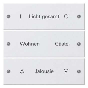 GIRA 220327 Wippenset 3fach beschreibbar System 55 Reinweiß seidenmatt (lackiert)