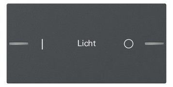 GIRA 862228 Wippe Wippenset 2f indiv.Tastsens.4.55 Anthrazit