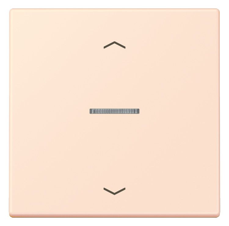Jung LC101KO5P226 Wippe m.Lichtleiter u. Pfeilsymbolen