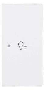 BJ 6234-22-44M Wippe 2-fach rechts m.Symbol "Dimmer"