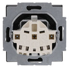 BJ 20 EUKNBSL-81-101 SCHUKO Steckdosen-Einsatz anth future linear