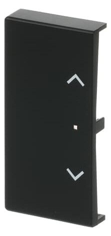 BJ 6232-20-885 Wippe 2f Jalousie schwarz matt Busch-free@home future linear
