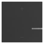 Legrand 765441 SEANO Wippe f.Tastdimmer in 2-L-Ausf Anthrazit lackiert