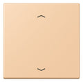 Jung LC101P237 Wippe m.Pfeilsymbolen f.KNX Taster 1