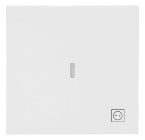BJ 1789 ST-44M Wippe m.Symbol "Stecker" Mit transparenter Kalotte