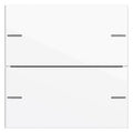 GIRA 575203 Wippenset 2fach Tastsensor4 System 55 Reinweiß glänzend