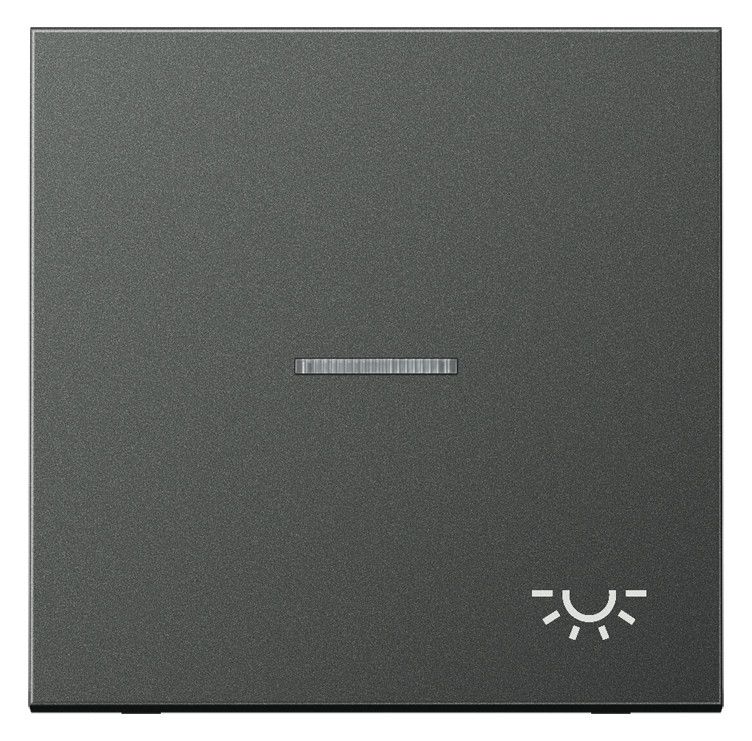 Jung AL2990KO5LAN Wippe Licht Lichtleiter LS Aluminium anthrazit