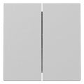GIRA 3295015 Wippe 2fach System 55 Grau matt (lackiert)