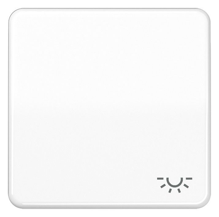 Jung CD590BFLWW Wippe Symbol Licht bruchsicher alpinweiß