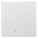 Eltako W-F1T55E-am Wippe f.Funktaster im E-Design55 ungraviert anth 30055910