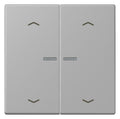 Jung LC102KO5P204 Wippe m.Lichtleiter u. Pfeilsymbolen