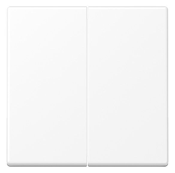 Jung A102BFWWM Wippe f.Serientaster