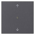 GIRA 538828 Wippe 1fach Pfeile KF System 55 Anthrazit