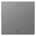 Mert MEG 5211-6036 Wippe f.Taster-Modul 1fach (1/0) Edelstahl