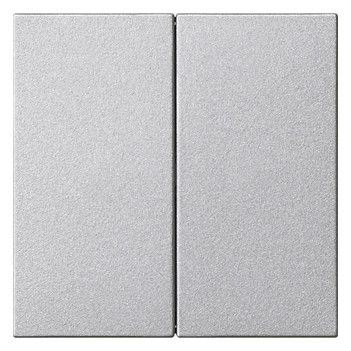GIRA 537026 Wippe 2fach unbedruckt System 55 Farbe Alu