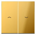 Jung GO2995P Wippe m.Symbolen Auf/Ab f.509VU/539VU LS goldfarben