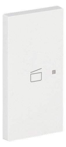 BJ 6233-21-44G Wippe 2-fach links m.Symbol "Szene"