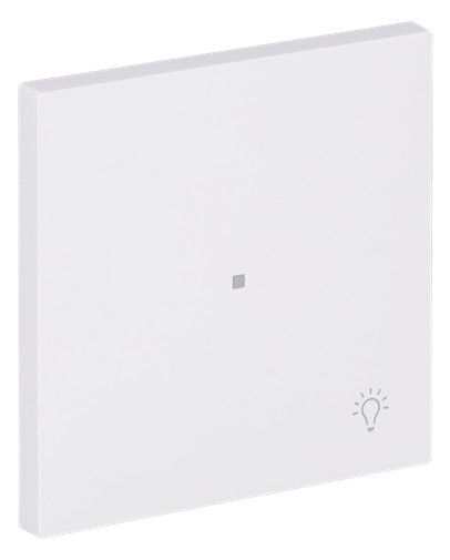 BJ 6231-10-44G Wippe 1-fach m.Symbol "Licht"