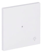 BJ 6231-10-44G Wippe 1-fach m.Symbol "Licht"